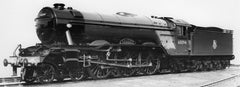 Projects in development. <h4> LNER/BR A1-A3 - </h4>Updated 18/03/2023